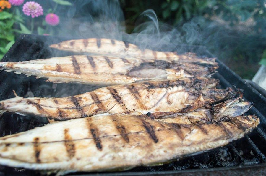 Peixe gordo grelhado